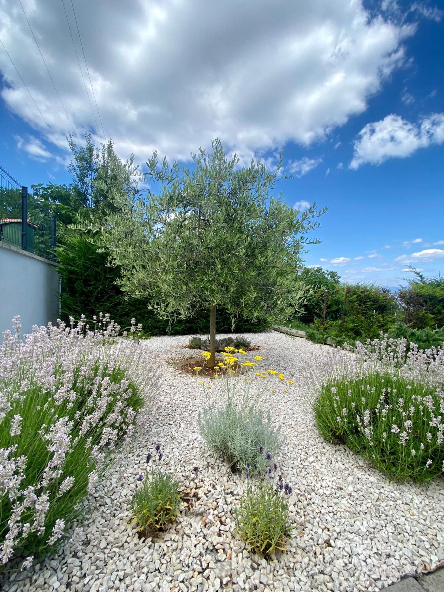 Villa Marta Opatija Zewnętrze zdjęcie